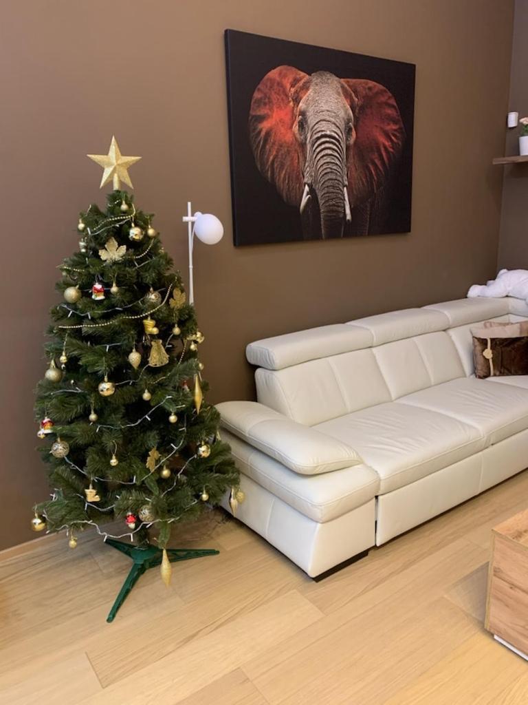 Apartment Dagmar Buresove Прага Екстер'єр фото